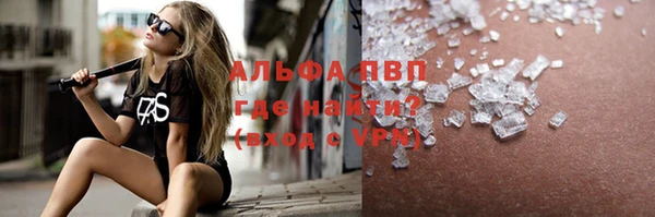 прущие грибы Аркадак