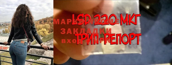 прущие грибы Аркадак