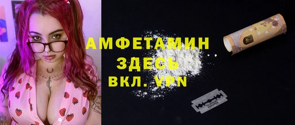 прущие грибы Аркадак