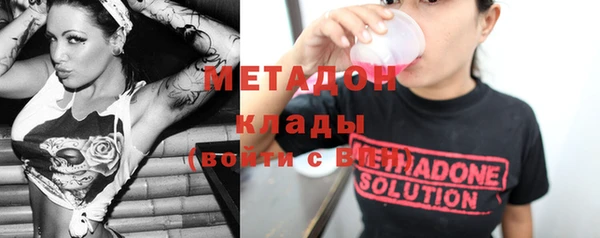 прущие грибы Аркадак