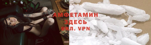 амф Арсеньев