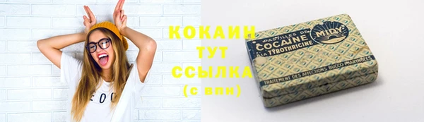 прущие грибы Аркадак