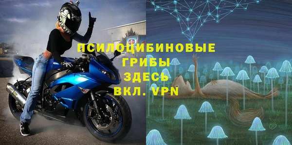 амф Арсеньев
