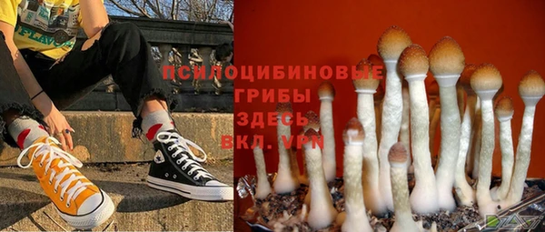амф Арсеньев