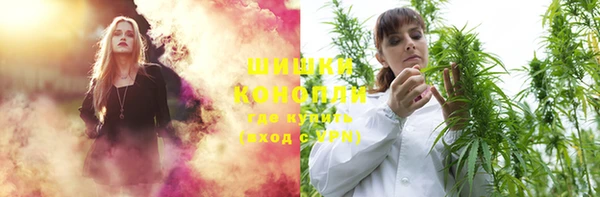 прущие грибы Аркадак